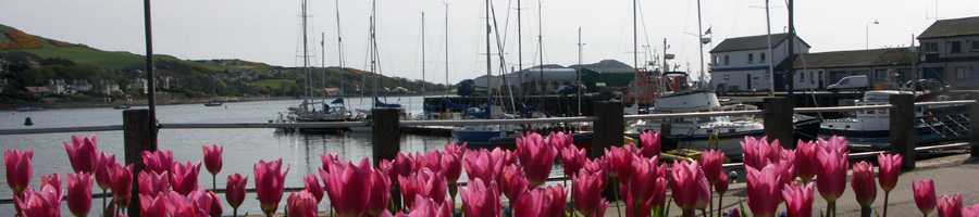 Campbeltown Loch and Harbour from Kinloch Road